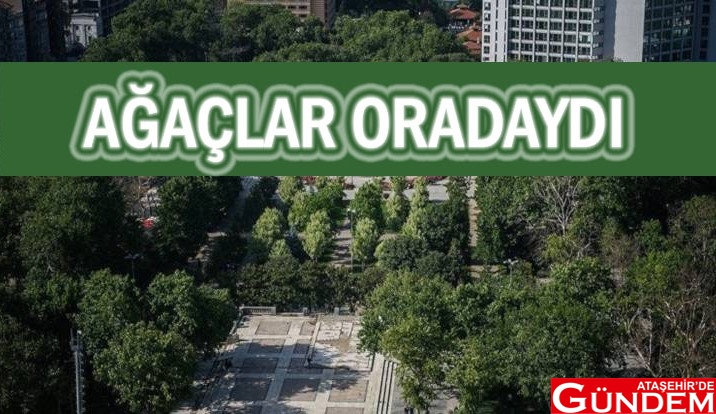 İBB GEZİ PARKI’NIN RENGİNE RENK KATIYOR PARK GEZİ YEŞİL